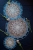 Mandala na szydełko Roślinna od Forest of Needles