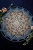 Mandala na szydełko Roślinna od Forest of Needles
